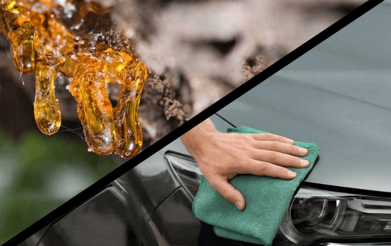 Extracción de la savia del árbol: el método de lavado de autos - 7 - octubre 10, 2022