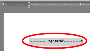 ¿Cómo eliminar una página en Microsoft Word? - 11 - noviembre 29, 2022