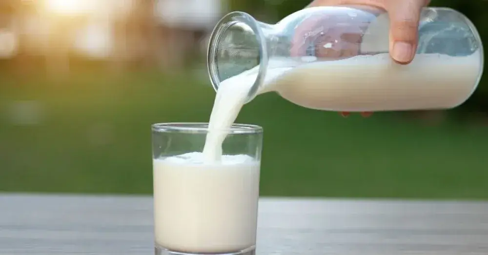 ¿Cuántas tazas hay en un litro de leche? - 3 - noviembre 8, 2022