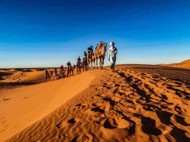 ¿Pueden saltar los camellos? (¿Mito o verdad?) - 7 - noviembre 27, 2022