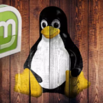 ¿Cómo reinstalar Linux Mint sin perder sus datos?