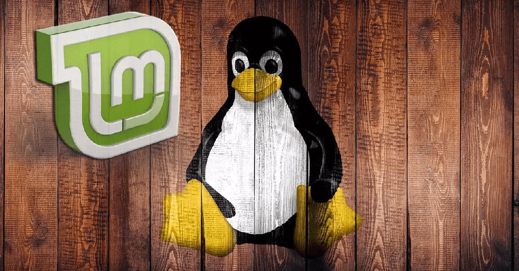 ¿Cómo reinstalar Linux Mint sin perder sus datos? - 1 - noviembre 23, 2022