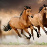 10 Razas de caballos más lindas del mundo