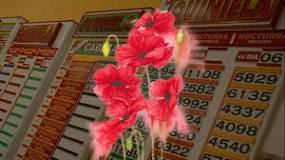 soñar con flores que numero juega