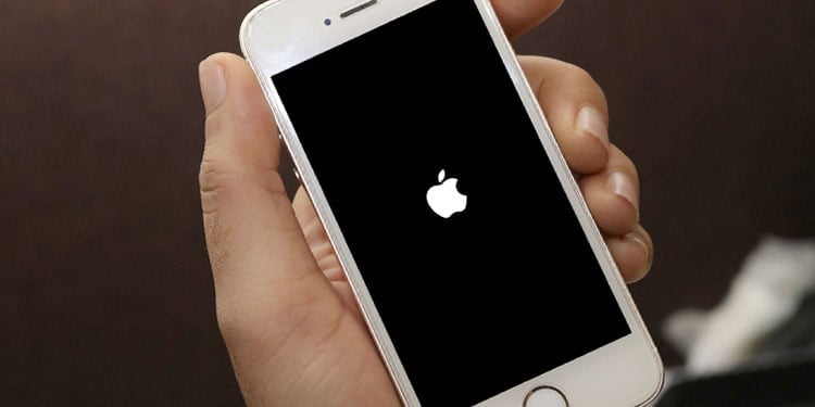 ¿Cómo arreglar la pantalla blanca del iPhone? - 11 - noviembre 23, 2022