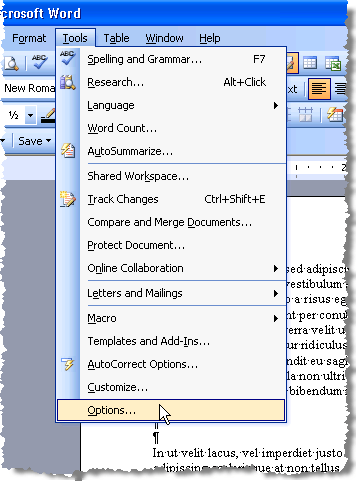 Use Spike para cortar y pegar varios elementos de texto en Word - 29 - diciembre 22, 2022