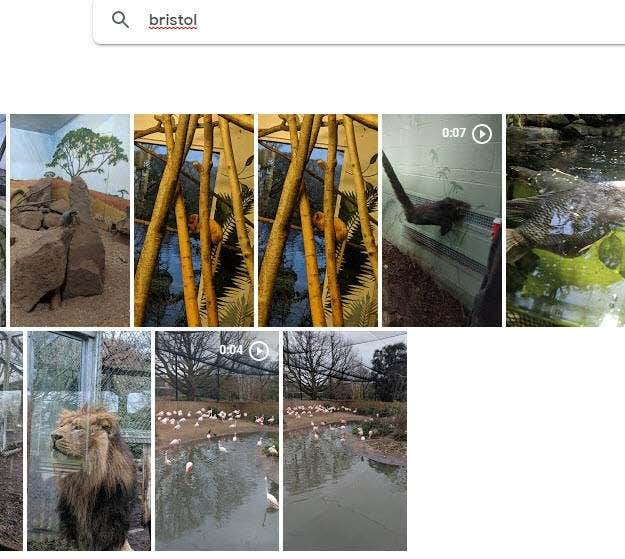 ¿Cómo usar herramientas de búsqueda de fotos en Google Photos? - 7 - diciembre 15, 2022