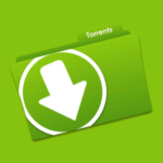 Use Seedbox y Winscp para torrents privados y rápidos