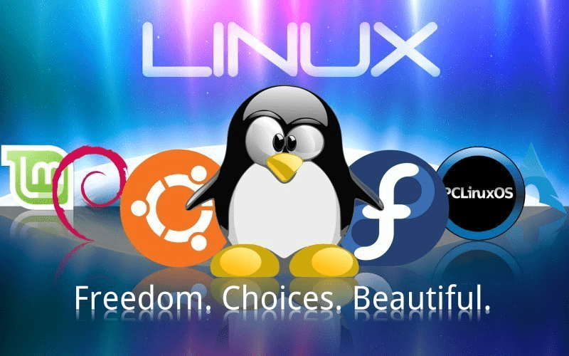 Una introducción a Linux para principiantes - 3 - diciembre 19, 2022