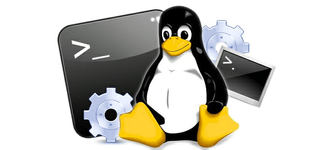 ¿Cómo dejar de programas congelados en Linux? - 15 - diciembre 19, 2022