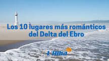 ¿En dónde ver los flamencos en el Delta del Ebro?