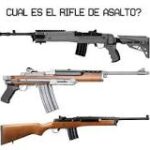 Disparos Distintos: Comparando Rifles y Escopetas