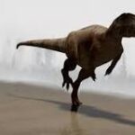 Velociraptor: ¡Corriendo como el viento!