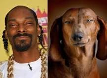 ¿Cuánto Mide Snoop Dogg?