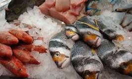 ¿Cuánto duran los pescados descongelados? - 3 - diciembre 27, 2022