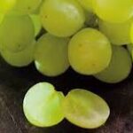 Uva Thomcord: Una Deliciosa Fruta de Verano