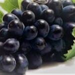 La uva negra alargada: ¡Una delicia para el paladar!