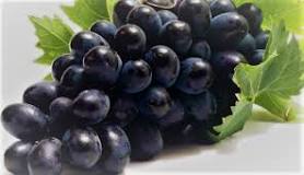 ¿Cómo es que se llama la uva morada?