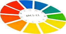 Indicadores de PH: El Cambio de Color