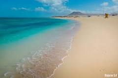 ¿Dónde están las playas más bonitas de Fuerteventura?