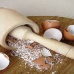 ¿La Cáscara de Huevo es una Buena Alimentación para las Gallinas?