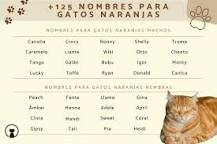 ¿Qué nombre se le puede poner a un gatito atigrado?