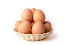 ¿Cuántos géneros de huevos de gallina hay?