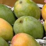 Mangos de Venezuela: Una Variedad de Sabores