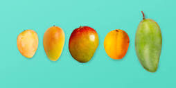 ¿Cuáles son las clases de mango?