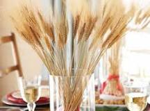 significado de obsequiar espiga de trigo
