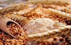 ¿Qué es el trigo antipático?