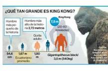 que género de mono es king kong