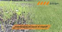 Crecimiento Rápido: La Grama Bahiana - 45 - enero 17, 2023