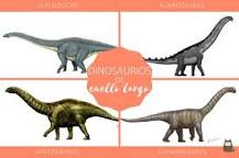¿Cuánto mide el dinosaurio de cuello largo?