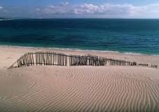¿Cuántas playas hay en Tarifa?