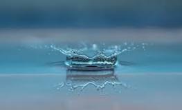 ¿Consecuencias de usar Agua en lugar de AdBlue? - 3 - diciembre 16, 2022