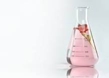 ¿Cómo es que se llama la ciencia de los perfumes?