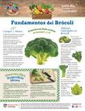 ¿Cómo se llama el brócoli morado?