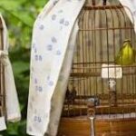 ¿Cómo descansan los pájaros en jaula?