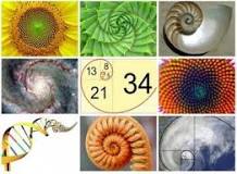 ¿Cuáles son las secuencias de números que se representan en la naturaleza?