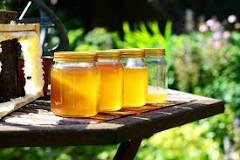 ¿Cuál es la diferencia entre la miel de agave y el jarabe de agave?