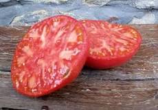 ¿Cuál es el mejor tomate del mundillo?