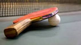 ¿Cuáles son las mejores marcas de raquetas de tenis de mesa?