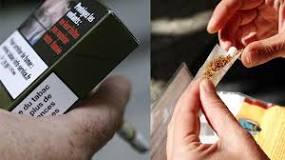 ¿Qué tabaco resulta ser bastante más sano el de embrollar o el de cajeta?