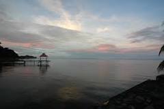 ¿Qué animales acuáticos hay en el Lago de Nicaragua?