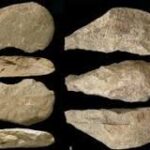 Instrumentos Prehistóricos: Un Vistazo a la Historia de la Humanidad