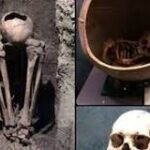Sacrificios Olmecas: Una Mirada a la Historia