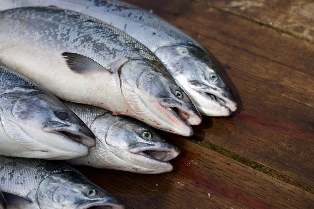 ¿Cuál es el precio del salmón fresco en Mercadona?