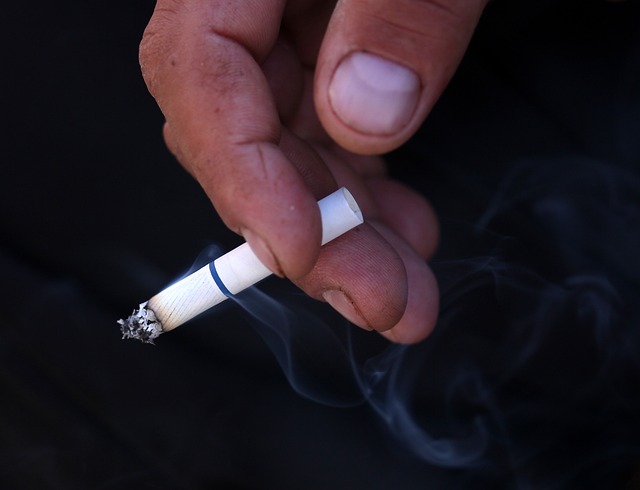 Las mejores marcas de tabaco de liar suave - 29 - enero 14, 2023