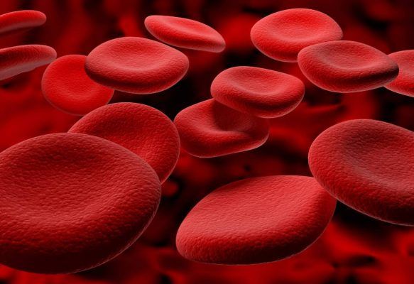 ¿Qué significa PDW bajo en el análisis de sangre? - 3 - enero 10, 2023